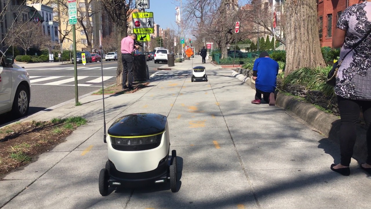 Food delivery robot
